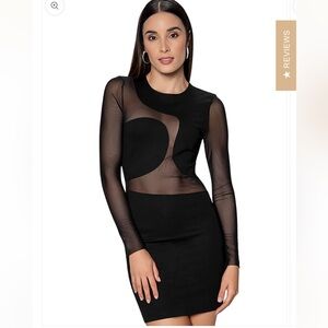 Zara Black cutout mesh long sleeves mini dress